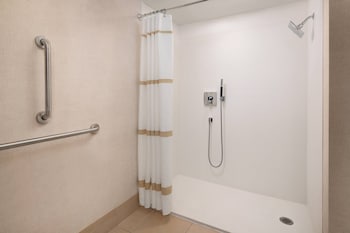 Room, 1 King Bed (Mobility Accessible, Roll-In Shower)