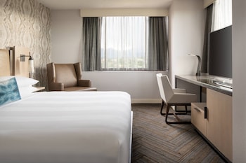Executive Room, 1 King Bed with Sofa bed (Mobility Accessible, Roll-In Shower)