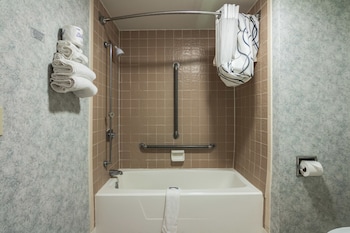 Standard Room, 1 Double Bed, Accessible, Non Smoking