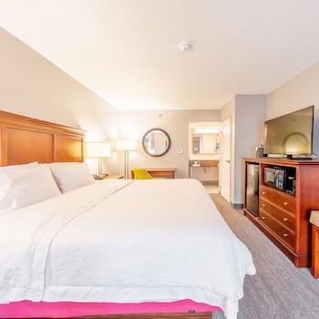 Room, 1 King Bed, Non Smoking
