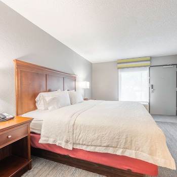Room, 1 King Bed, Accessible, Non Smoking