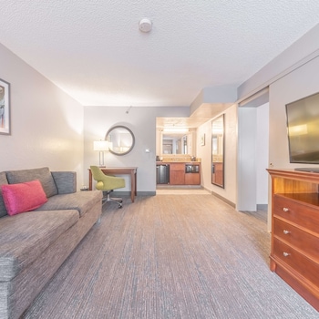 Studio Suite, 1 King Bed, Non Smoking