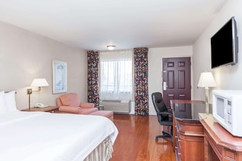 Room, 1 King Bed, Mobility Accessible, Non Smoking (Bathtub w/ Grab Bars)