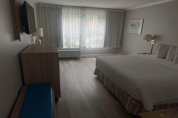 Room, 1 King Bed, Non Smoking