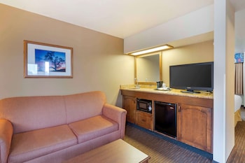 Standard Room, 1 King Bed, Refrigerator & Microwave, Poolside (with Sofabed)