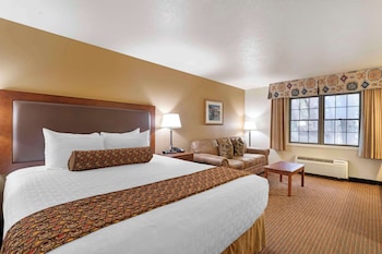 Standard Room, 1 King Bed, Non Smoking, Microwave (Oversized Room)