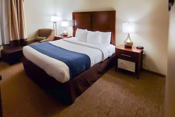 Standard Room, 1 King Bed, Non Smoking