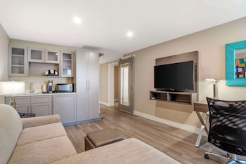 Suite, 1 King Bed, Non Smoking, Refrigerator & Microwave (with Sofabed)
