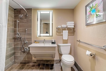 Standard Room, 1 King Bed, Accessible, Refrigerator & Microwave (Walk-in Shower)