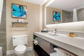 Suite, 1 King Bed, Non Smoking, Refrigerator & Microwave (with Sofabed)