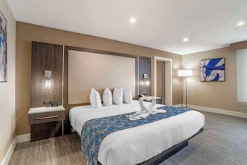 Suite, 1 King Bed, Non Smoking, Refrigerator & Microwave (with Sofabed)