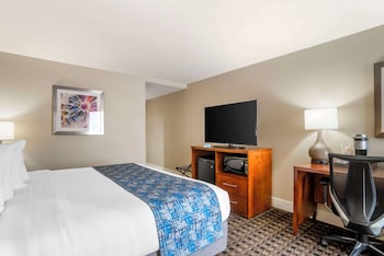 Standard Room, 1 King Bed, Accessible, Refrigerator & Microwave (Walk-in Shower)