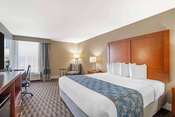 Standard Room, 1 King Bed, Accessible, Refrigerator & Microwave (Walk-in Shower)