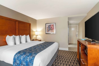Standard Room, 1 King Bed, Accessible, Refrigerator & Microwave (Walk-in Shower)