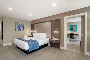 Suite, 1 King Bed, Non Smoking, Refrigerator & Microwave (with Sofabed)