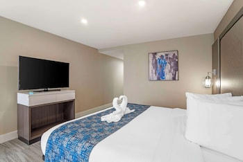 Suite, 1 King Bed, Non Smoking, Refrigerator & Microwave (with Sofabed)