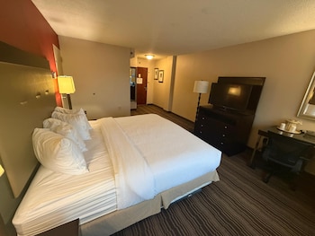 Room, 1 King Bed, Non Smoking