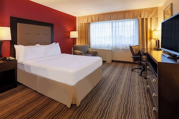 Room, 1 Double Bed, Mobility Accessible, Non Smoking (Roll-in Shower)