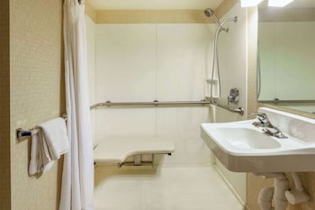 Room, 1 Double Bed, Mobility Accessible, Non Smoking (Roll-in Shower)