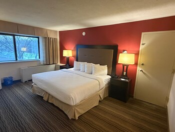 Suite, 1 Double Bed, Non Smoking (1 Bedroom, Parlor Suite)