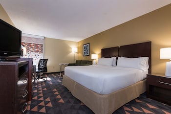 Standard Room, 1 King Bed with Sofa bed