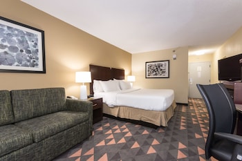 Standard Room, 1 King Bed with Sofa bed