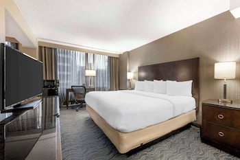 Suite, 1 King Bed, Non Smoking, Refrigerator & Microwave (with Sofabed)