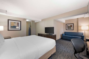 Suite, 1 King Bed, Non Smoking, Refrigerator & Microwave (with Sofabed)