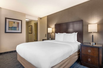 Standard Room, 1 Queen Bed, Non Smoking, Park View