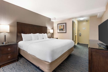 Suite, 1 King Bed, Non Smoking, Refrigerator & Microwave (with Sofabed)