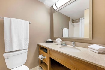 Suite, 1 King Bed, Non Smoking, Refrigerator & Microwave (with Sofabed)