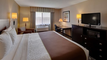 Standard Room, 1 King Bed, Non Smoking, Kitchenette