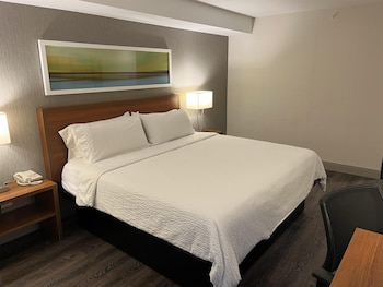 Standard Room, 1 King Bed, Non Smoking (Walk-in Shower)