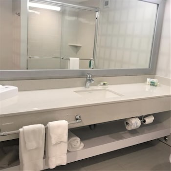Suite, 1 King Bed, Non Smoking, Kitchen (Living Room;with Sofabed)