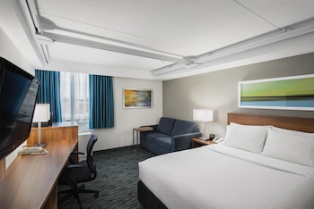 Standard Room, 1 Queen Bed, Accessible, Non Smoking (with Sofabed)