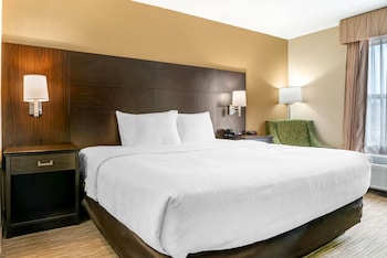 Room, 1 King Bed, Non Smoking, Hot Tub (Upgrade)