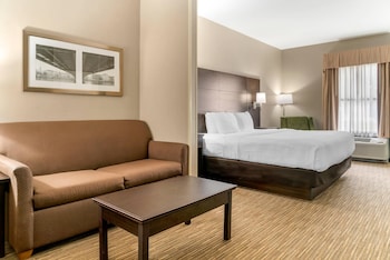 Suite, 1 King Bed with Sofa bed, Accessible, Non Smoking