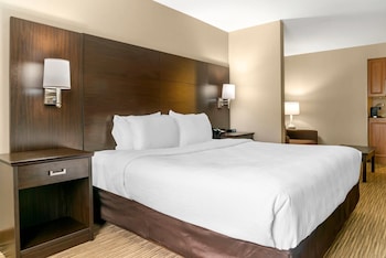Suite, 1 King Bed with Sofa bed, Non Smoking