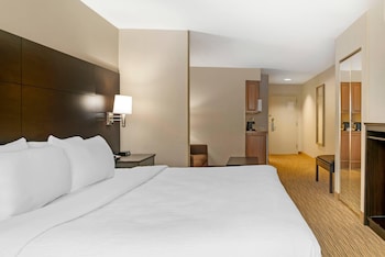 Suite, 1 King Bed with Sofa bed, Non Smoking