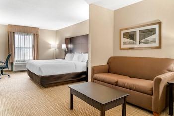 Suite, 1 King Bed with Sofa bed, Non Smoking
