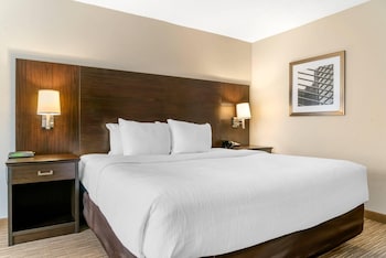 Standard Room, 1 King Bed, Non Smoking