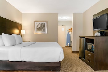 Standard Room, 1 King Bed, Non Smoking