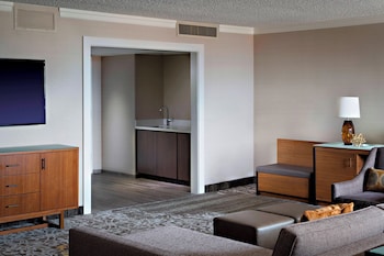 Room, 1 King Bed (Mobility Accessible, Roll-In Shower)