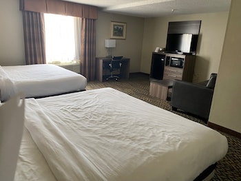 Studio Suite, Multiple Beds, Non Smoking