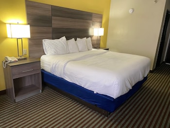 Standard Room, 1 King Bed with Sofa bed