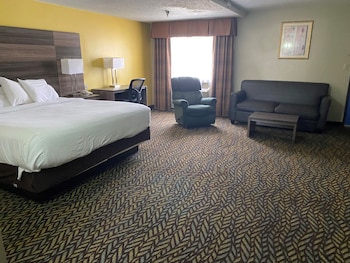 Studio Suite, 1 King Bed, Non Smoking