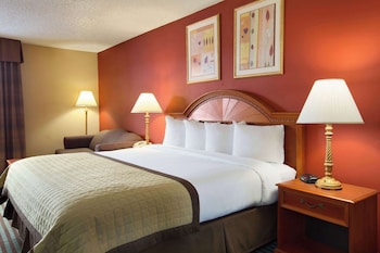 Standard Room, 1 King Bed with Sofa bed
