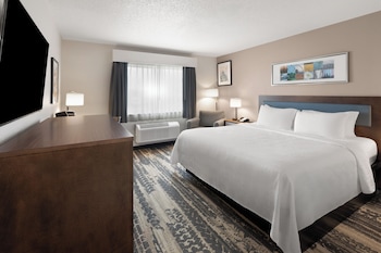 Room, 1 King Bed, Accessible, Non Smoking (Mobility Roll-In Shower)