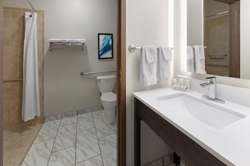 Room, 1 King Bed, Accessible, Non Smoking (Mobility Roll-In Shower)