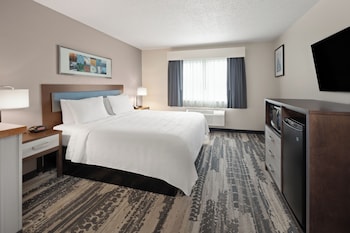 Junior Studio Suite, 1 King Bed, Non Smoking